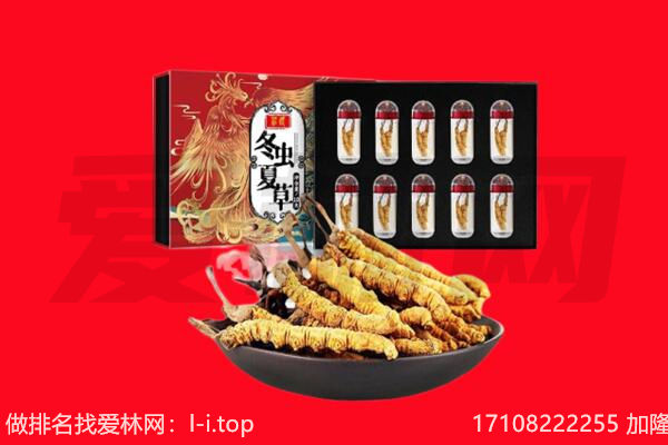 哈尔滨平房回收虫草.jpg